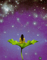 Meditation